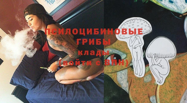 дмт Арсеньев